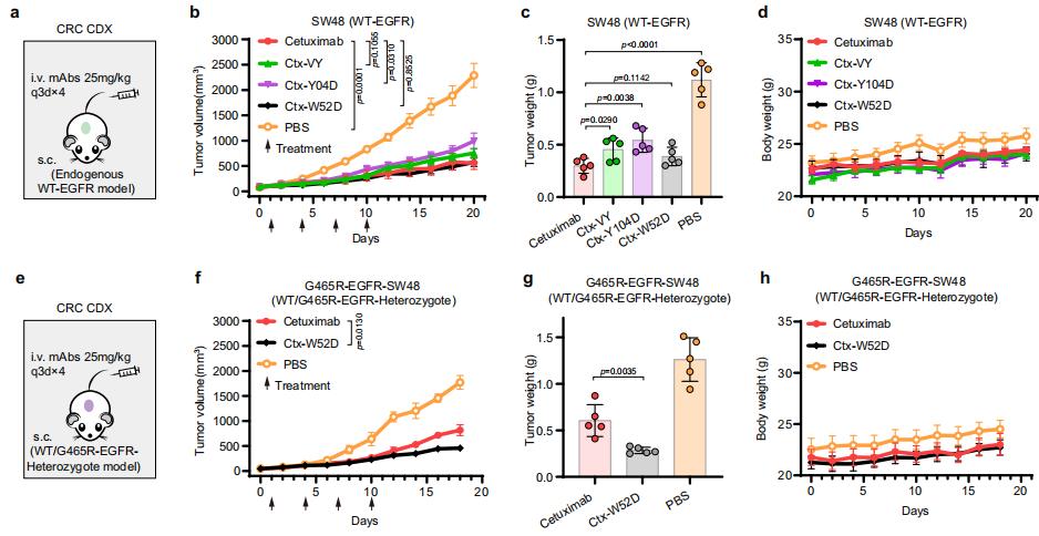 最新nature抗癌药,nature子刊高盐饮食竟能抗肿瘤