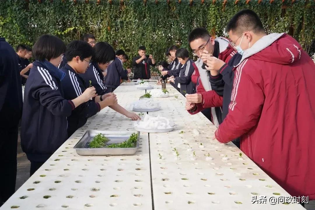 文明校园创建擦亮立德树人底色,创建文明校园从我做起简单又好看