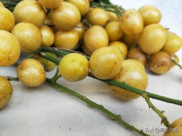 我家同邻居10年不讲话，结果我做了一件事，让邻居主动上门和好