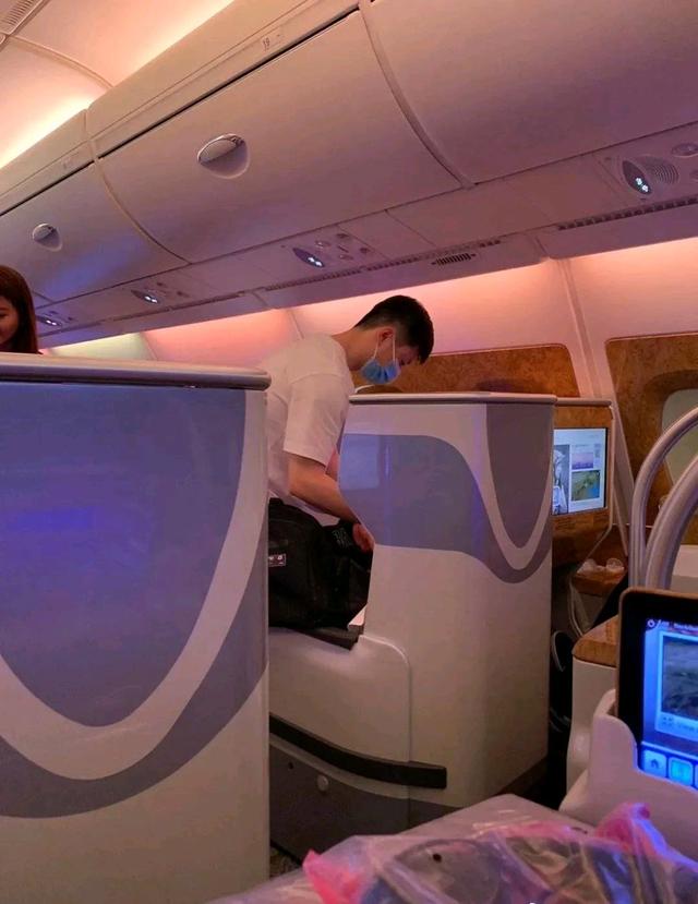 女乒实力排名,女乒陈梦主要成绩