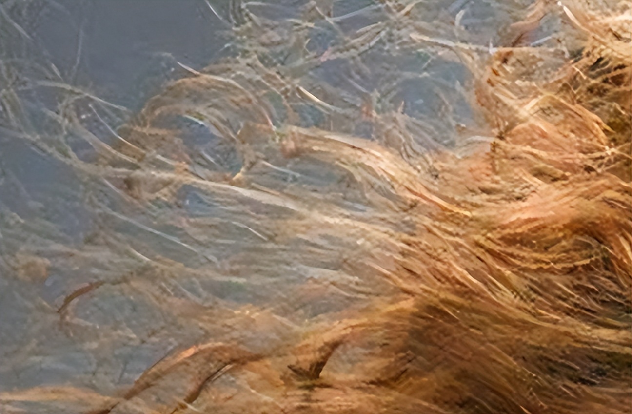 用艾叶熬水洗头3个月有什么变化,艾叶煮水洗头六个月后身体变化