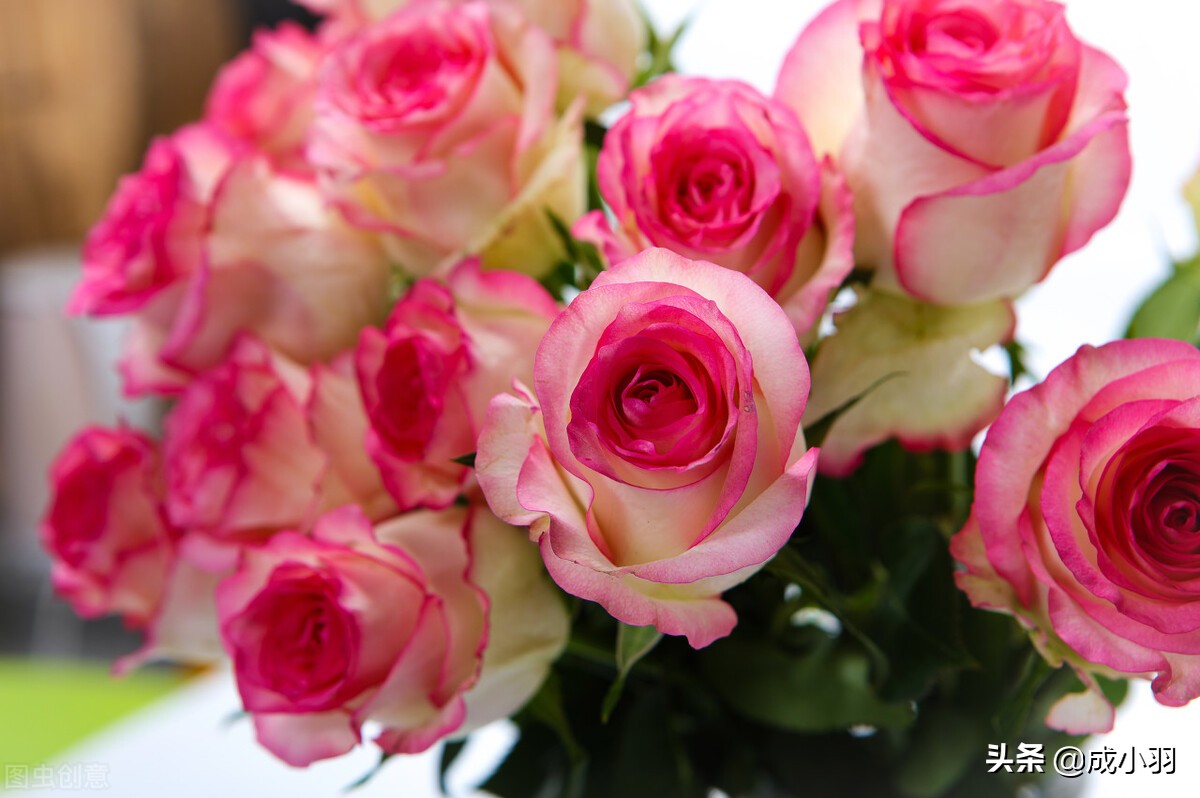 让女人爱到深处的男人,让女人死心塌地上瘾的男人