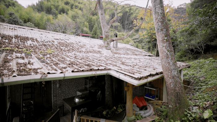 一种境界一种胸怀,独处的唯美境界