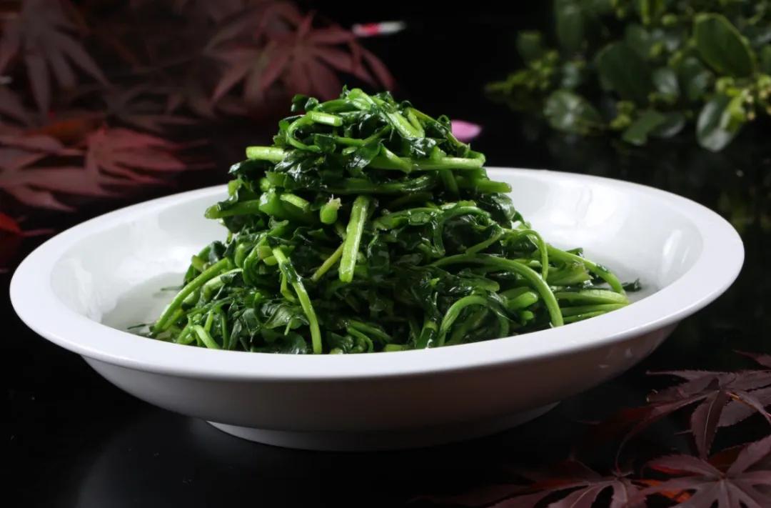 南京菊花脑是啥,南京的菊花脑是几月出来的