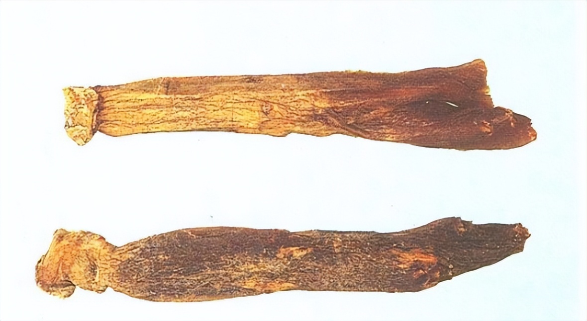 认识红参,带你认识红木