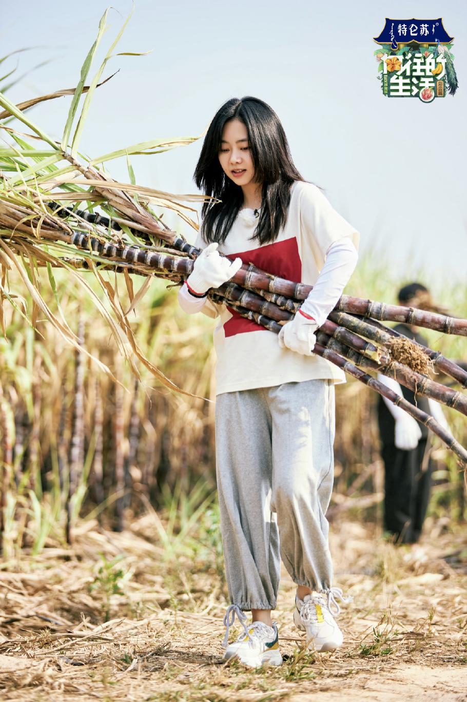 向往的生活第七季那英冷门歌曲,向往的生活第七季取景地