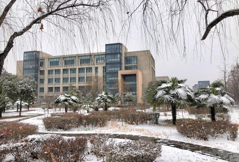 网络工程学习靠谱吗,网络工程专业985