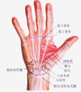 手指关节腱鞘炎怎么推拿,手指腱鞘炎治疗按摩方法