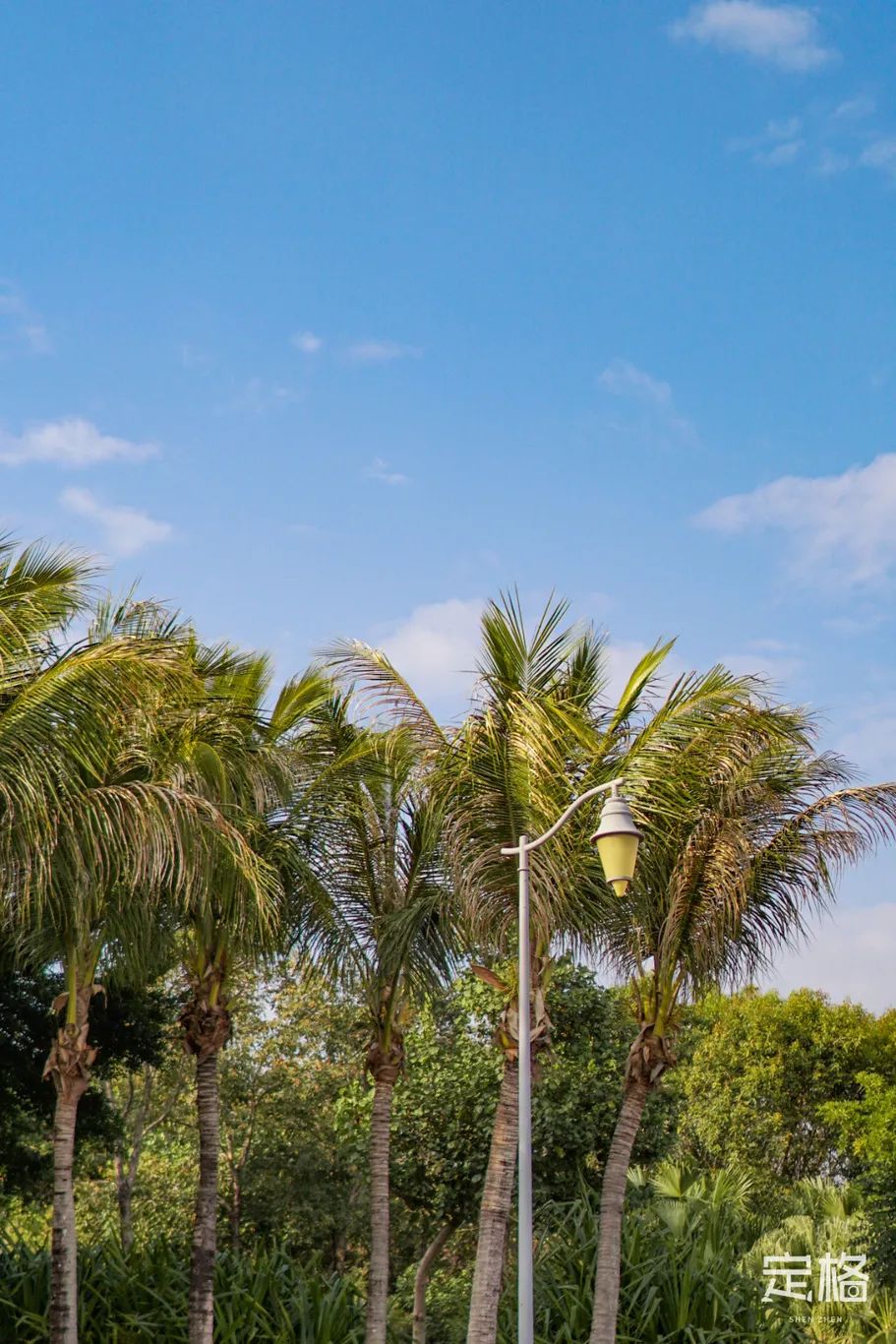 不输大小梅沙！深圳这片海太惊艳