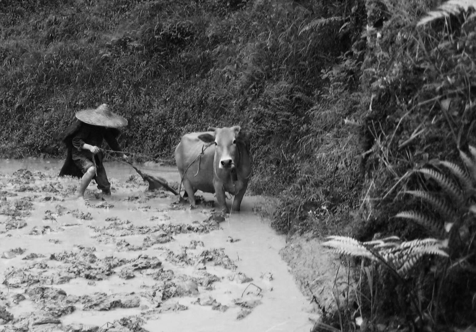 知青们的“代销店”