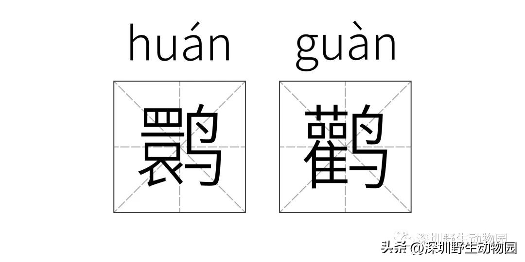 苗鸟怎么读,苗疆蛊事