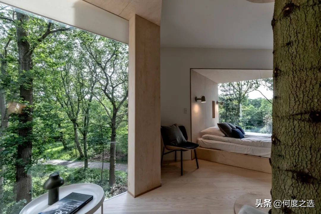 森林里的“树屋”：丹麦森林中建造的酒店，美到让人窒息