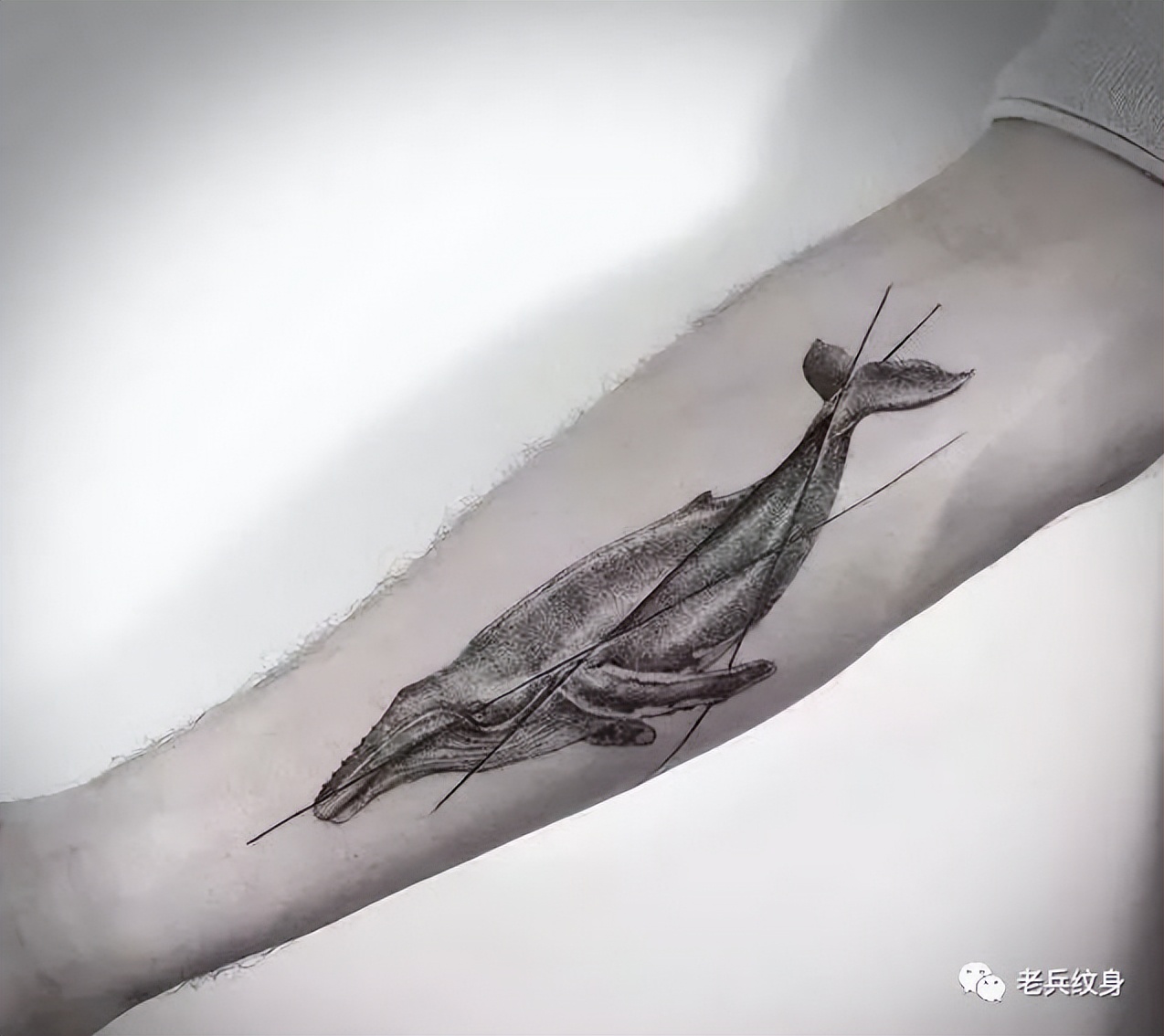 最潮纹身图案大全,十大纹身图案你认识几个