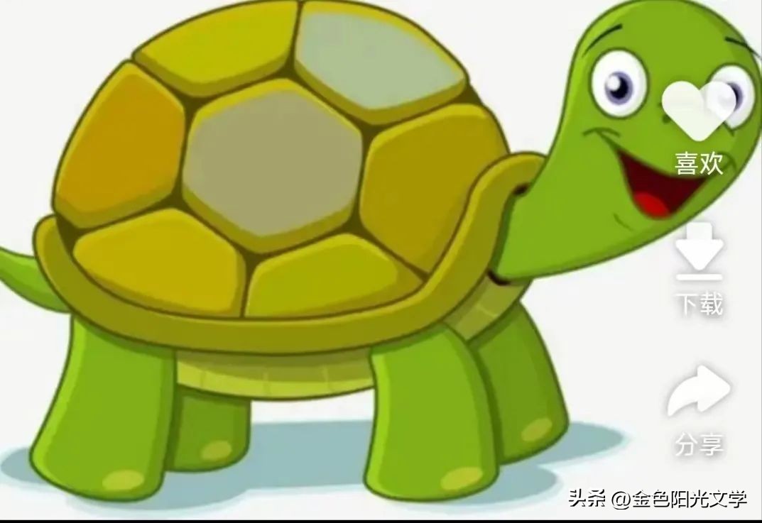 可爱的小仓鼠可爱的小熊,可爱的小仓鼠和小乌龟