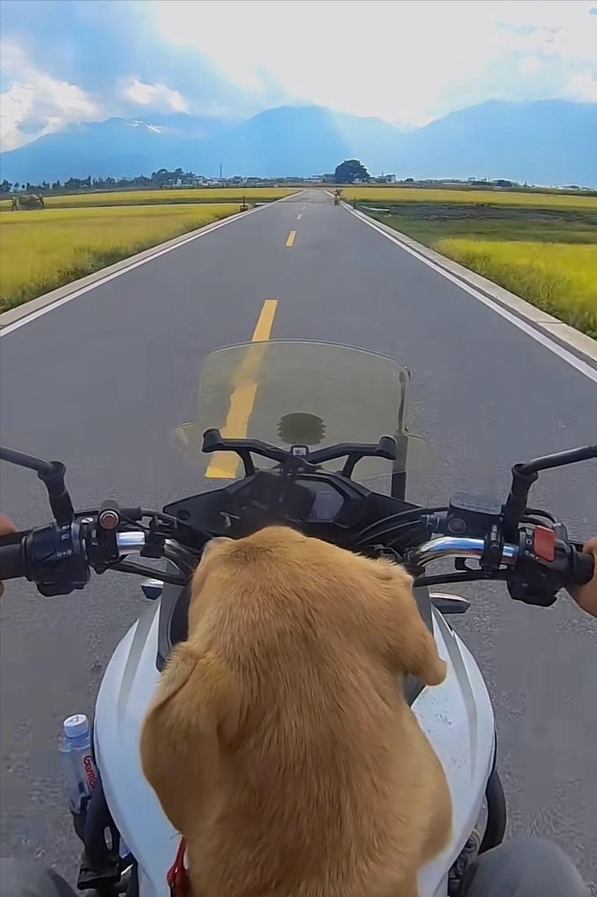 一个人去大理古城旅游安全吗,一个人去大理旅游安全