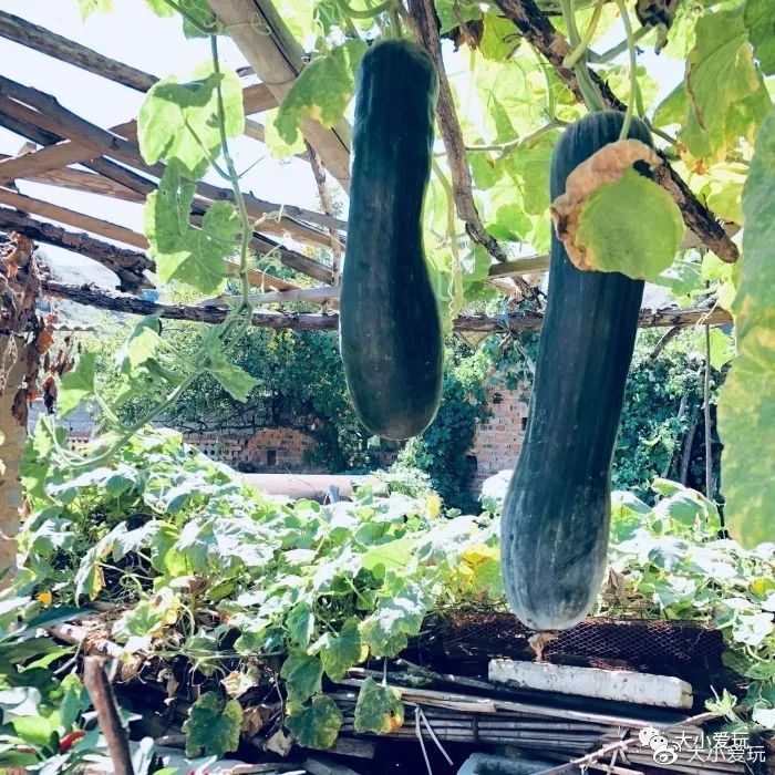 北京周边也有这么多超好逛的小镇、古镇、小山村，门票全免费！