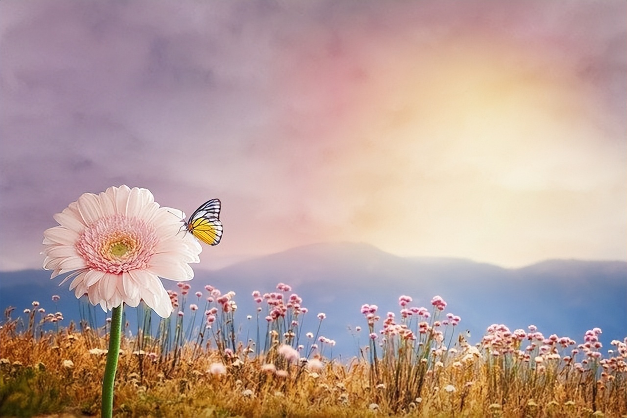 人生为人处世经典语录大全,为人处世的道理人生感悟简短