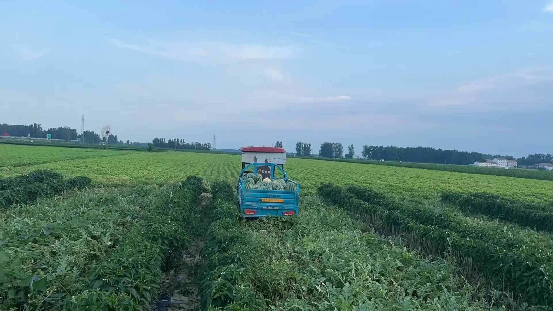 田园风光,田园风光诗词100首