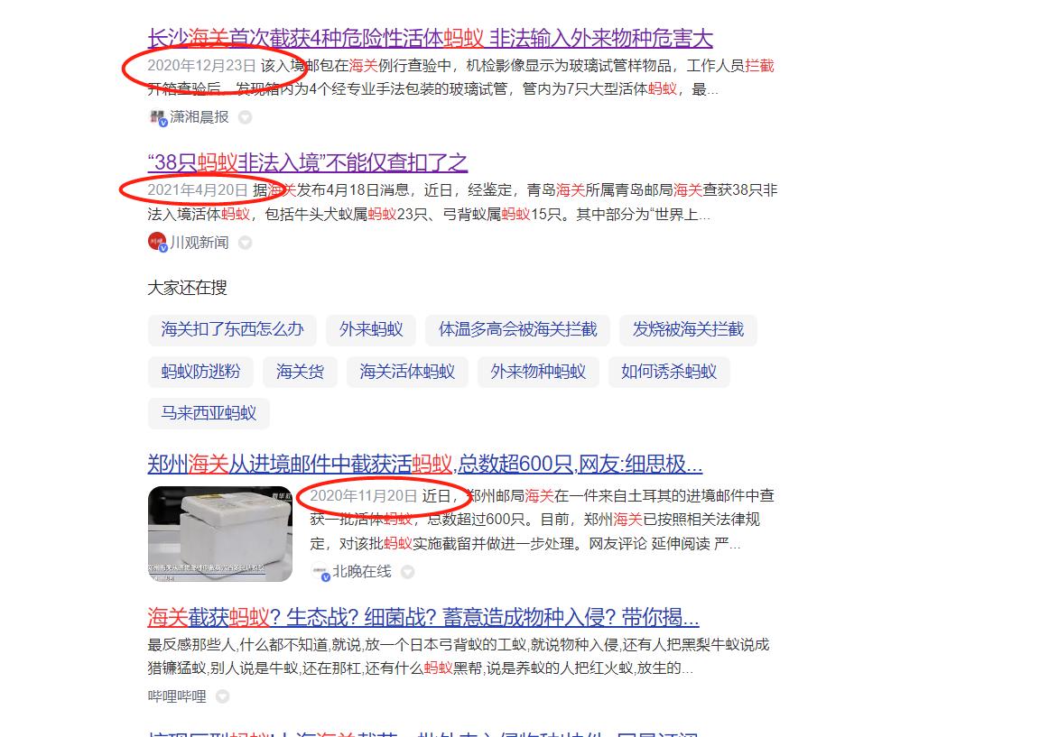 海关截获活体蚂蚁拿来干嘛,为什么海关经常查到活体蚂蚁