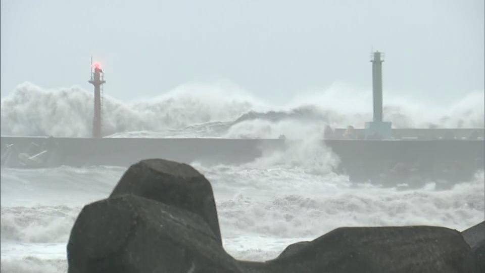 香港海域突现百万鲳鱼，背后原因令人唏嘘