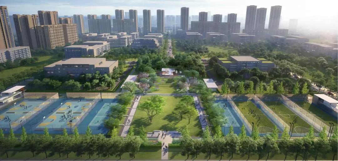 郫都区篮球公园,郫都打篮球的地方