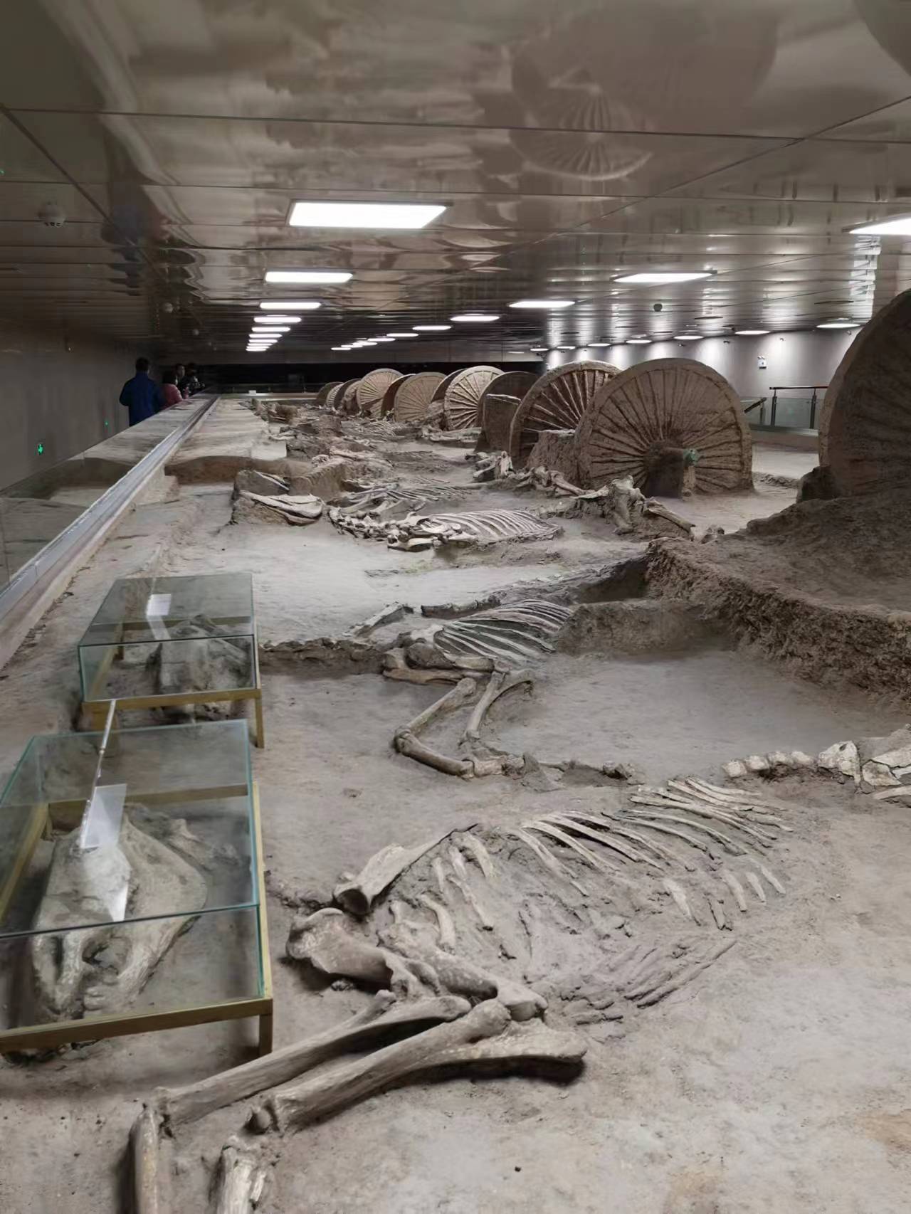 寻味山东淄博,淄博博物馆推荐