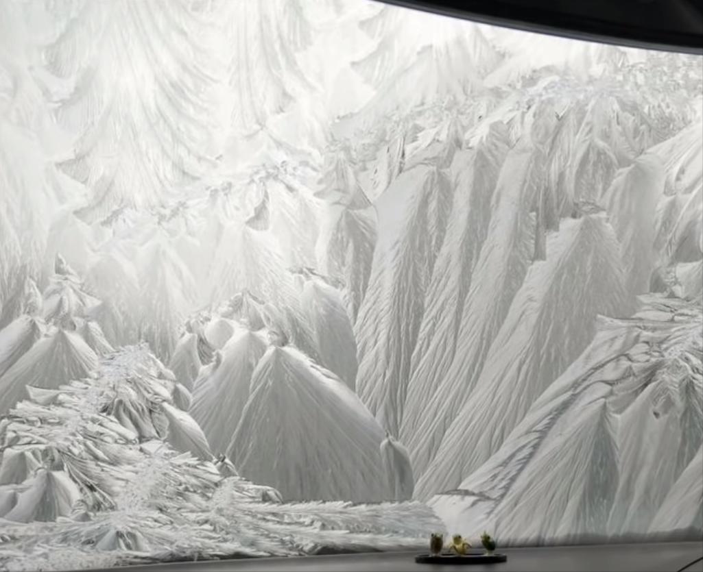 20张让人开怀大笑的猫咪照片,100张有趣猫咪照