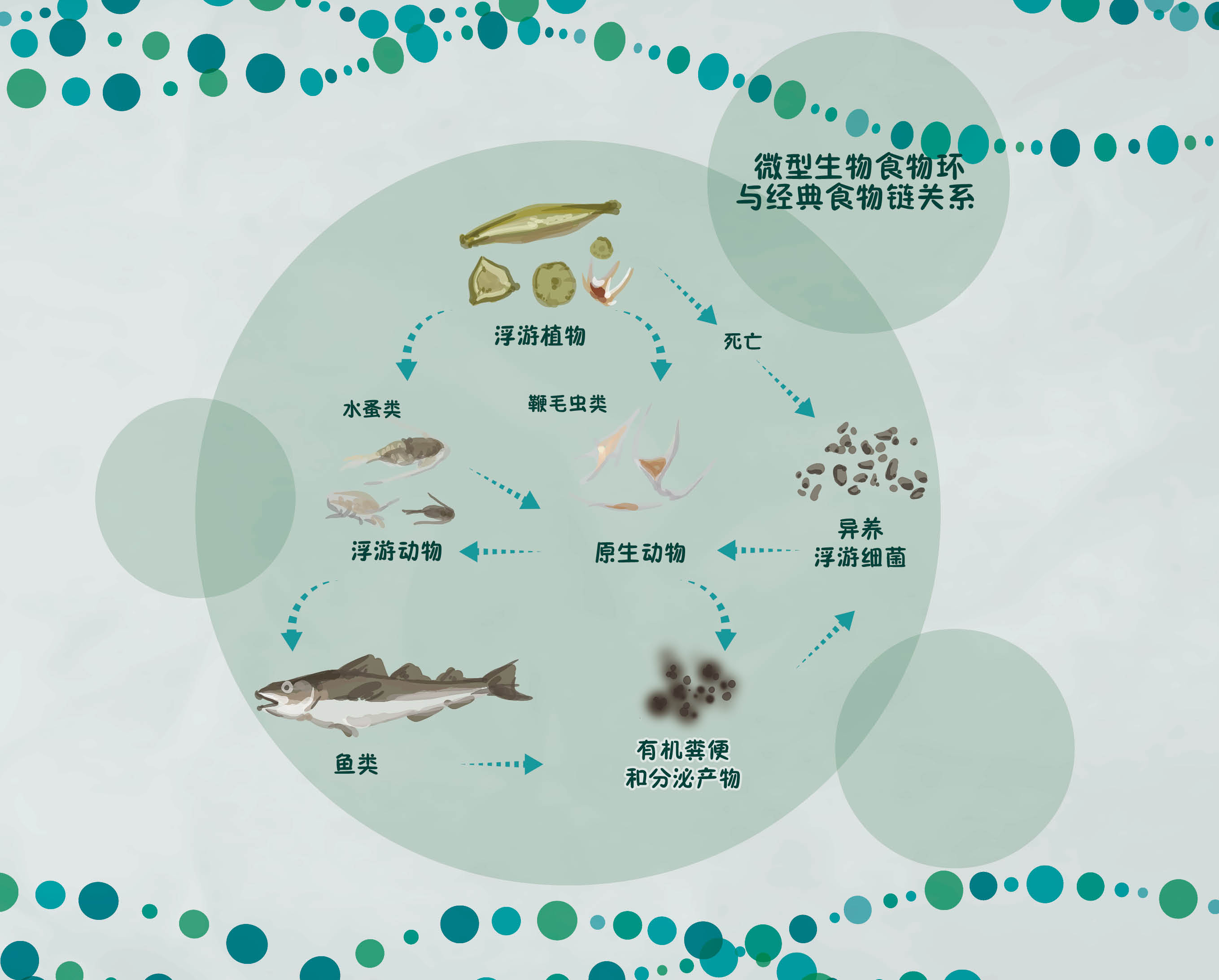 长江鱼类数量增多,长江鱼类目前现状