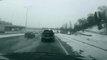 第一个用无人机拍到的鲸鱼,鲸鱼萤火虫