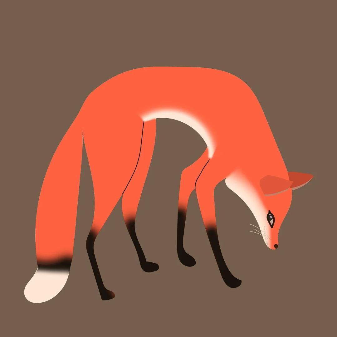 财富的精髓是什么,财富的本质选择权更多