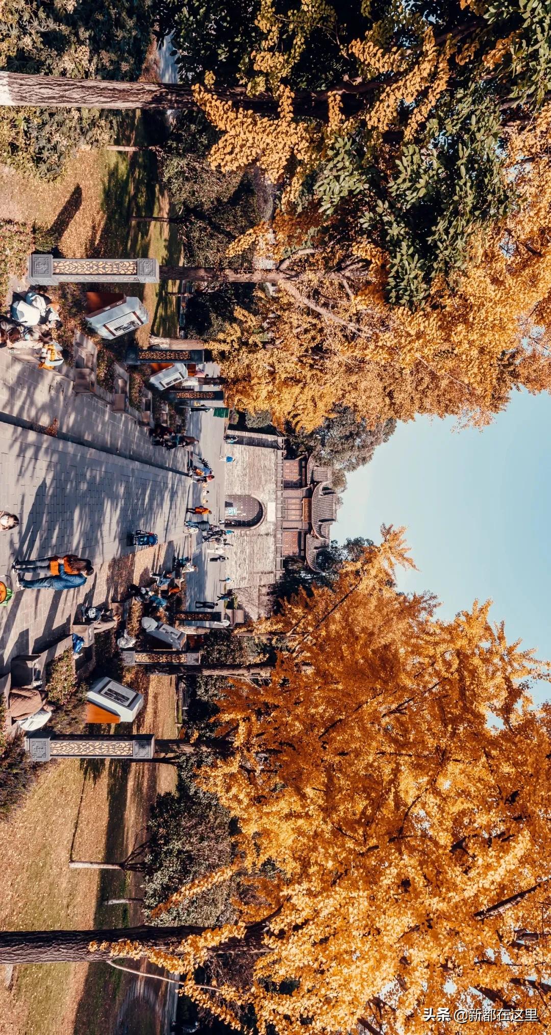 新都拍照个人写真,新都网红写真