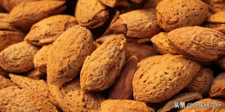 巴西松子的果是什么样的,巴西松子与东北松子营养有区别吗