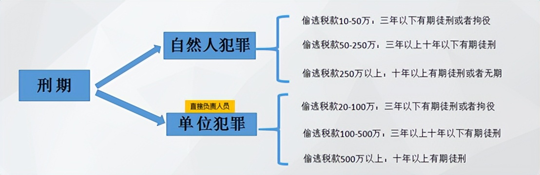 海关涉税犯罪司法解释 (出口骗税主观责任)