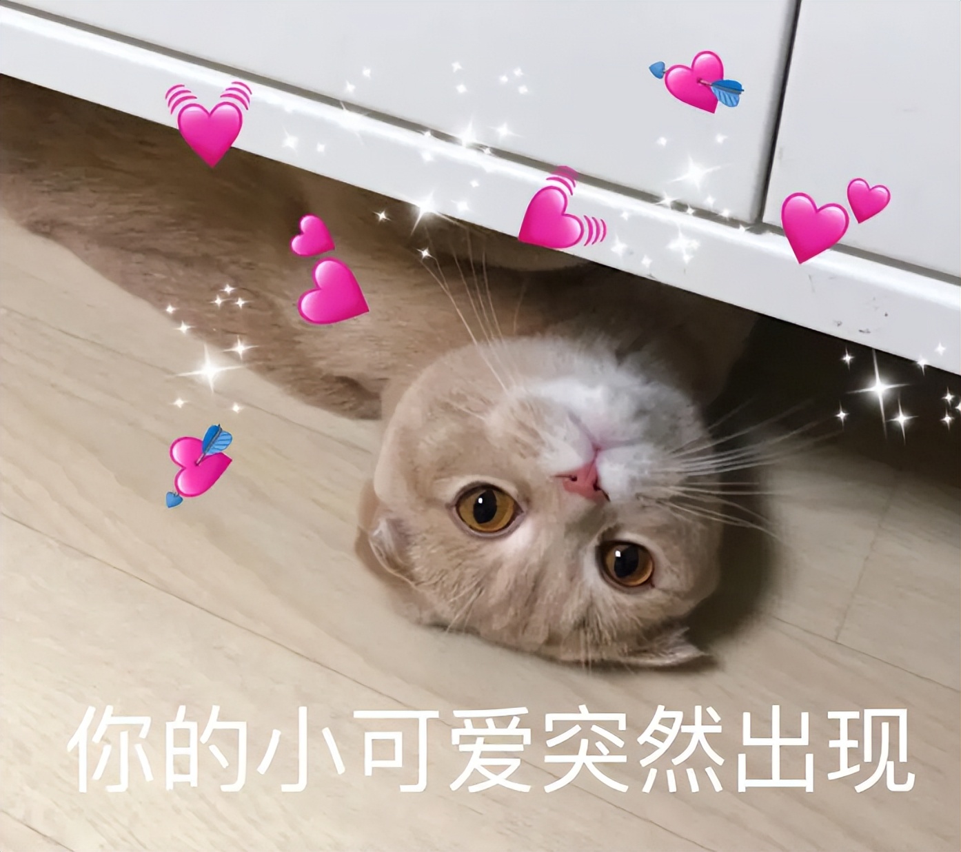 自媒体做什么最容易变现,新手做自媒体该怎么变现