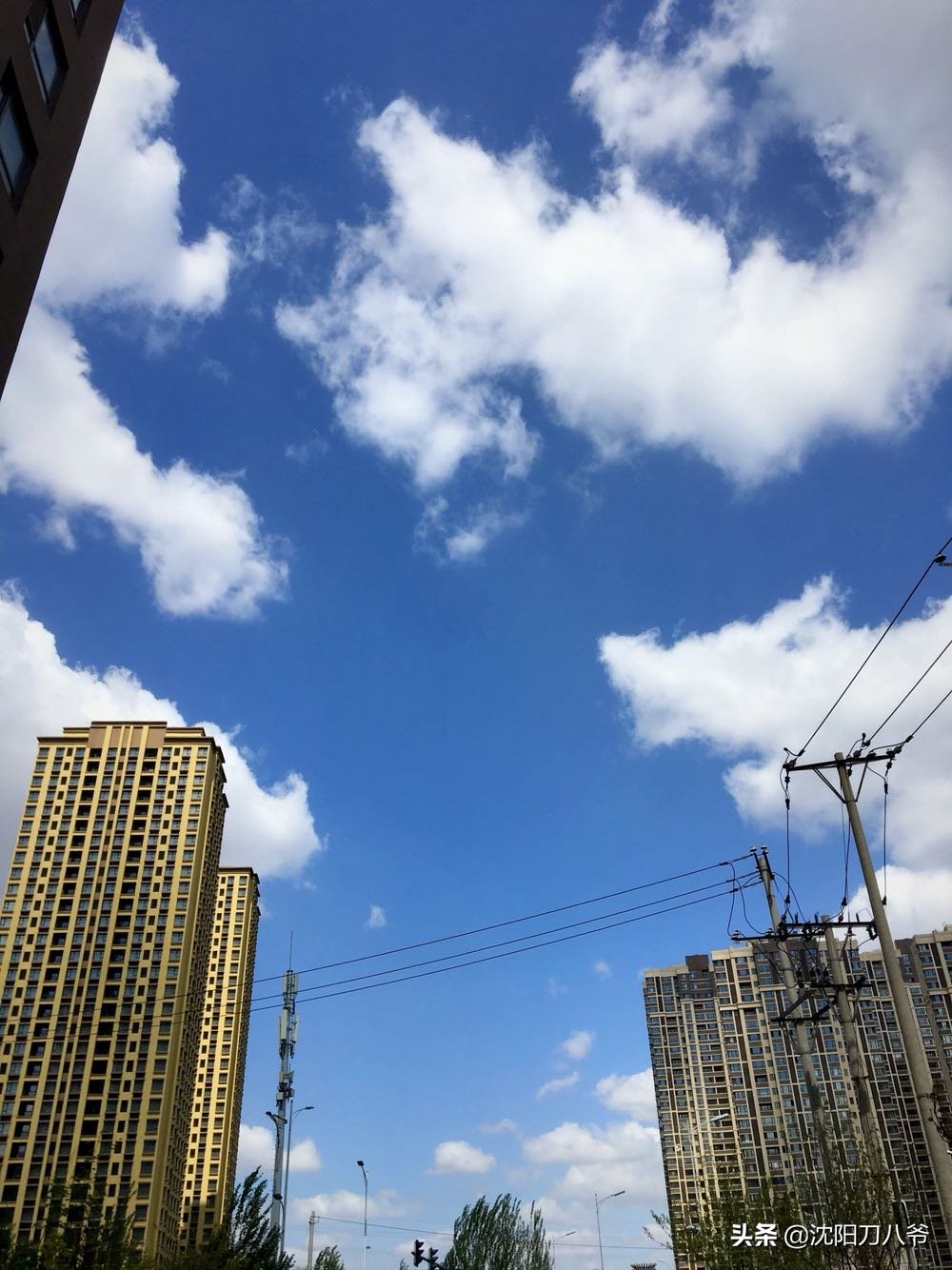 沈阳地铁5号线最新线路图清晰版,沈阳地铁5号线神秘面纱