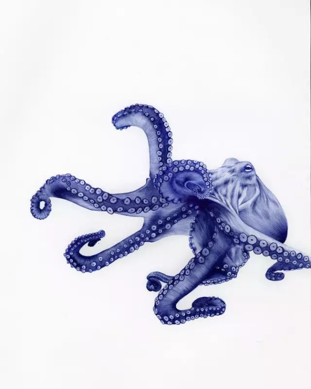 圆珠笔作画简单,2块钱圆珠笔