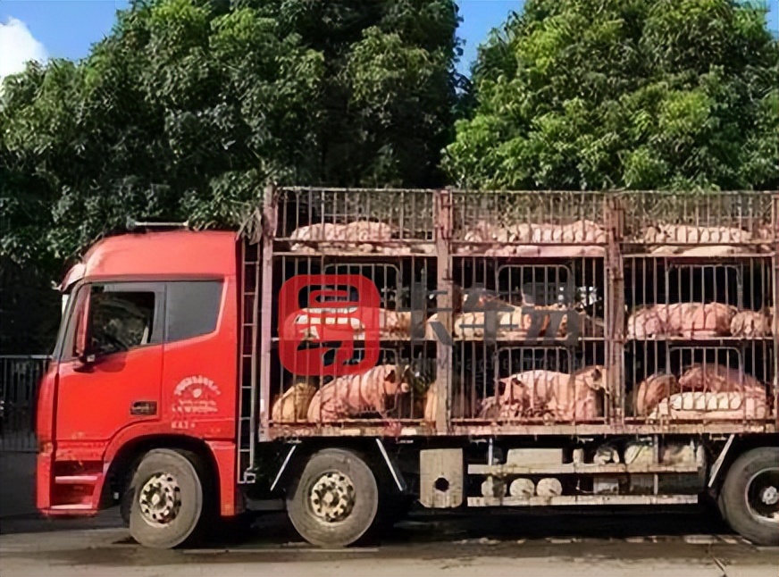 发大件车物流便宜,卡车整车物流哪家便宜