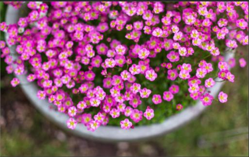 上海体育学院近三年招生数据对比2022单招报考指南