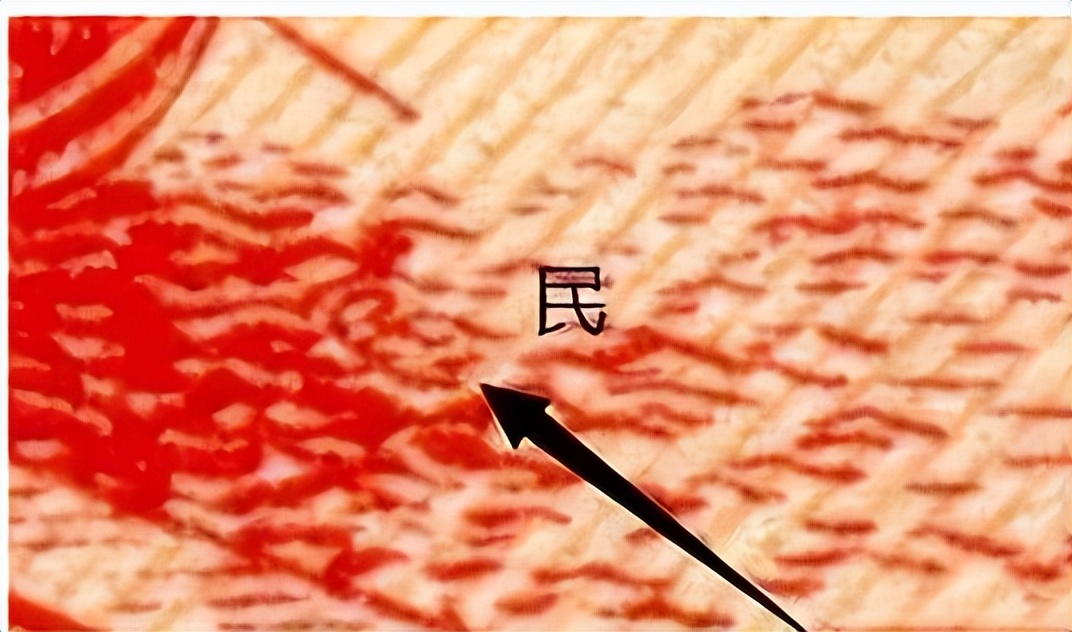 05版人民币各个券别防伪特征,用荧光灯辨别老版人民币真伪