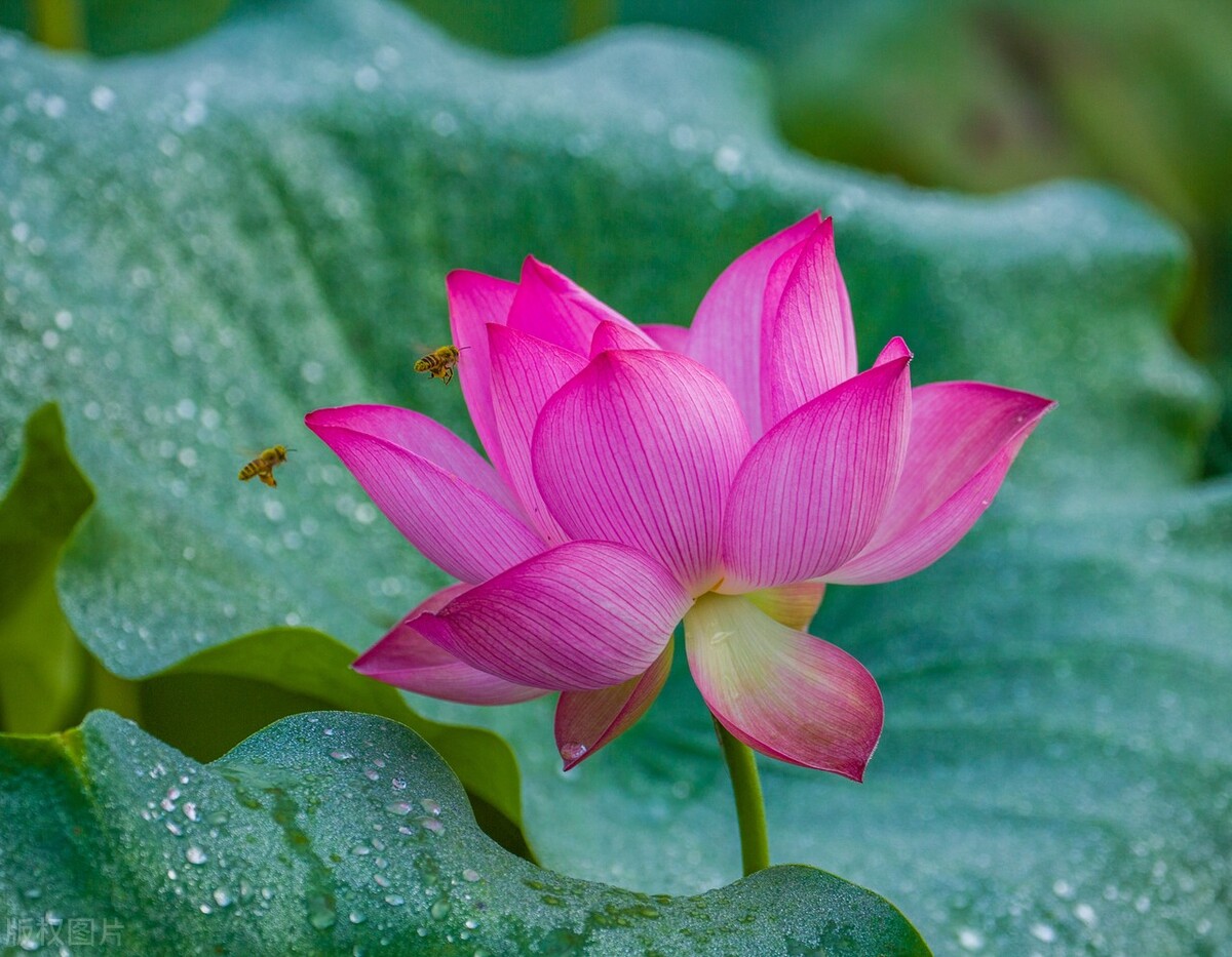 男人爱不爱一个女人，看她的“穿着”便知