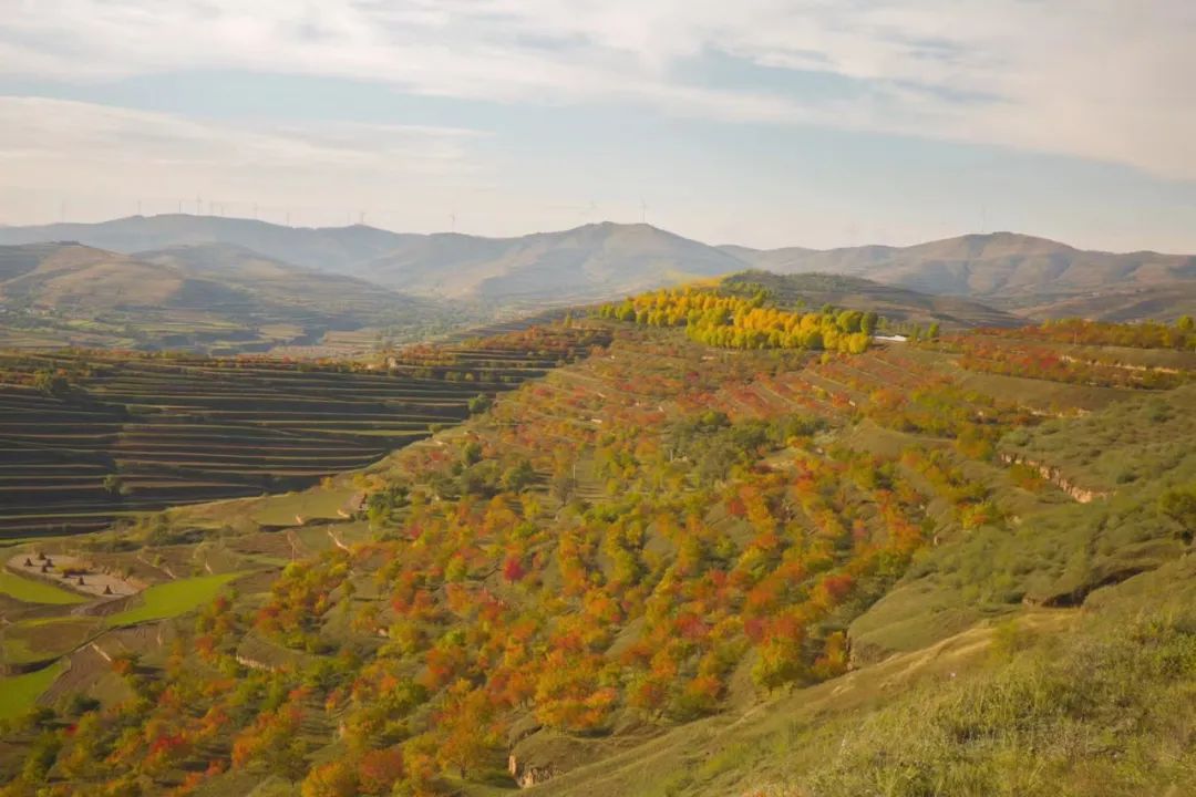 深秋等你到来,深秋等你来