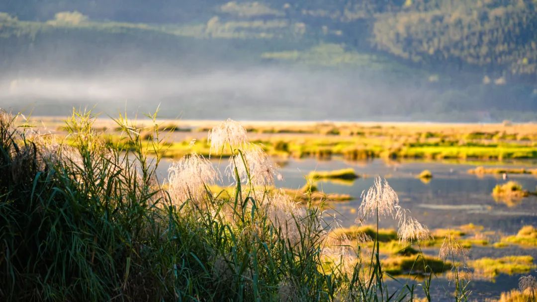 腾冲出游,腾冲诗和远方