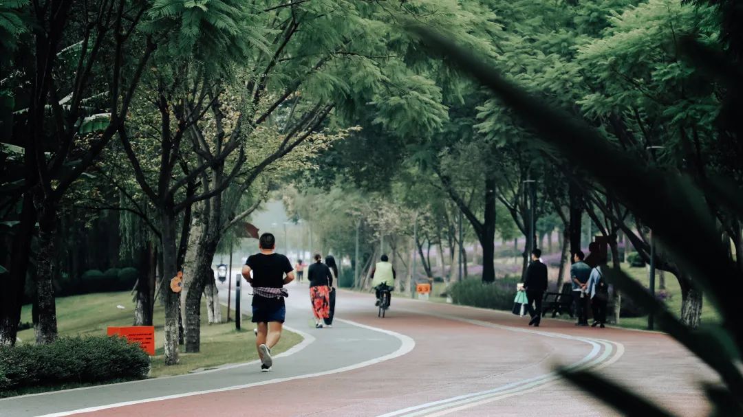 闄嗗啿杩愬姩瑙嗛,闄嗗啿楠戣