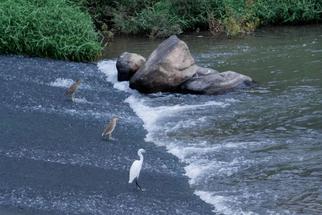 深圳十条景美徒步路线推荐,深圳水库徒步路线图