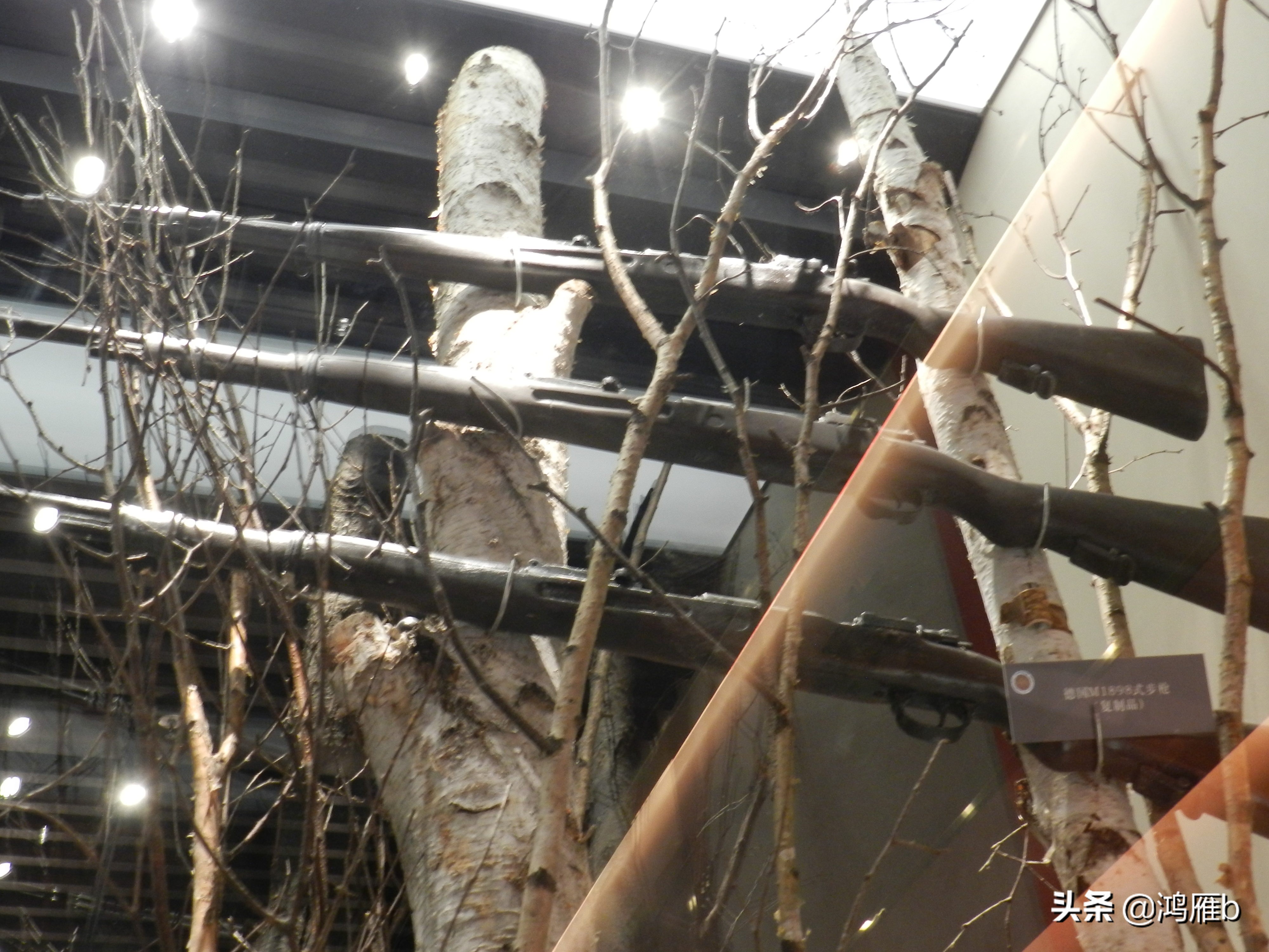 东北抗联的艰苦程度,抗联是不是最艰苦的