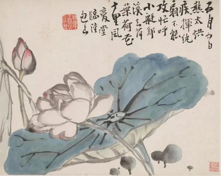 清代九大名家花鸟册页欣赏,清朝九大名家花鸟山水图