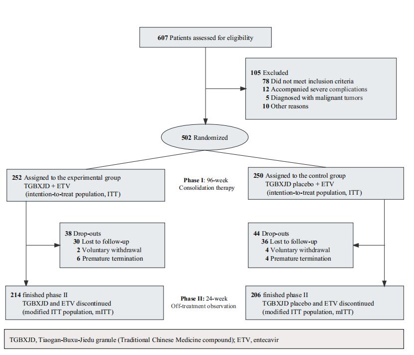 乙肝吃护肝宁和恩替卡韦可以吗,乙肝解毒胶囊和恩替卡韦治大三阳
