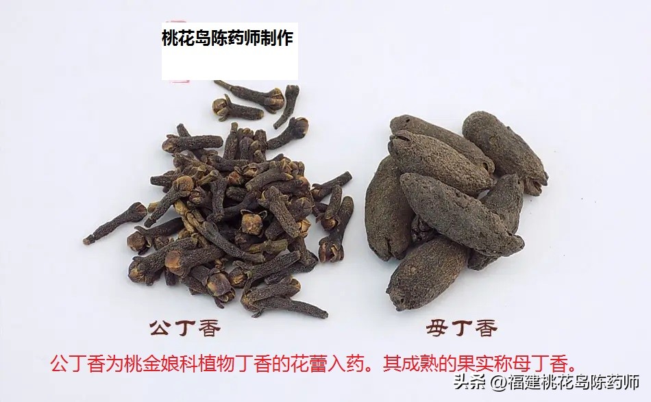 17味温里祛寒中药的性味与功效