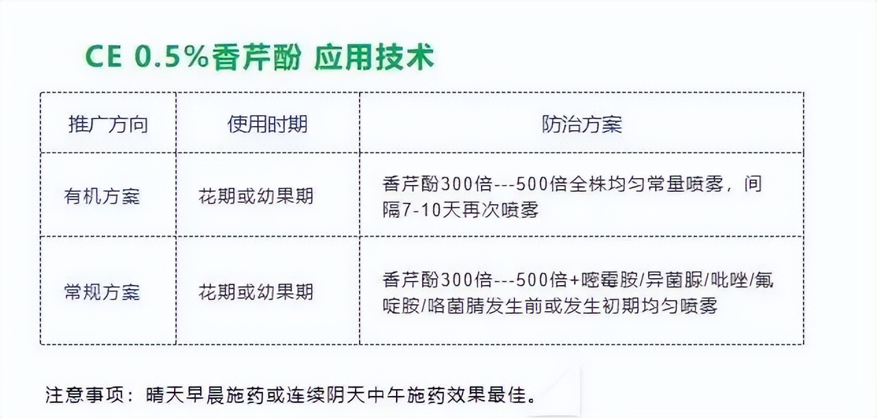 香芹酚与灰霉病,柑橘灰霉病用香芹酚