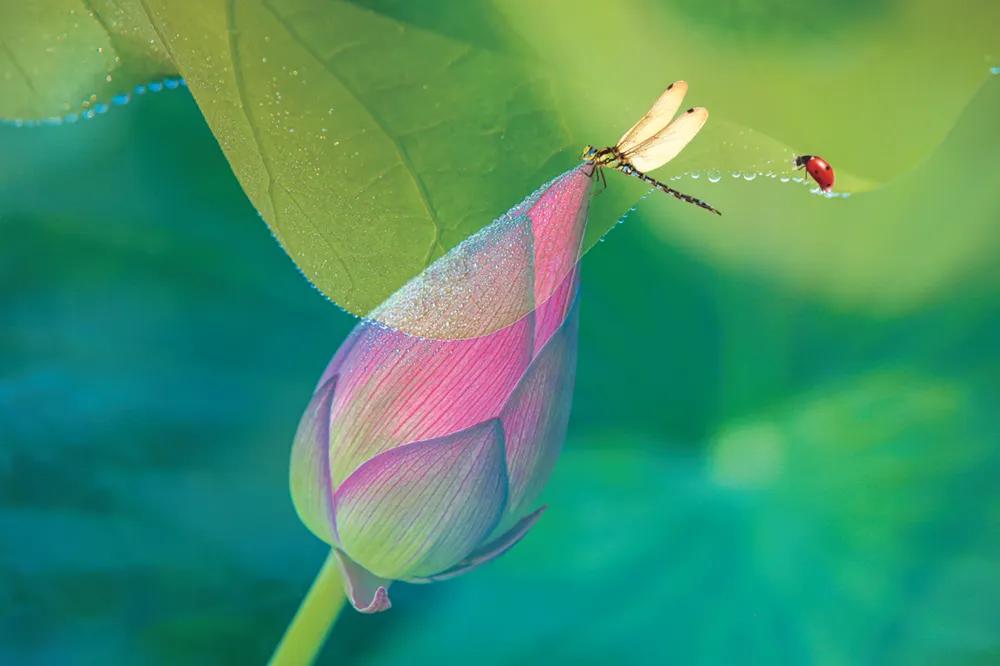 开小吃店需要学会哪些菜品,想开小吃餐饮店有什么推荐